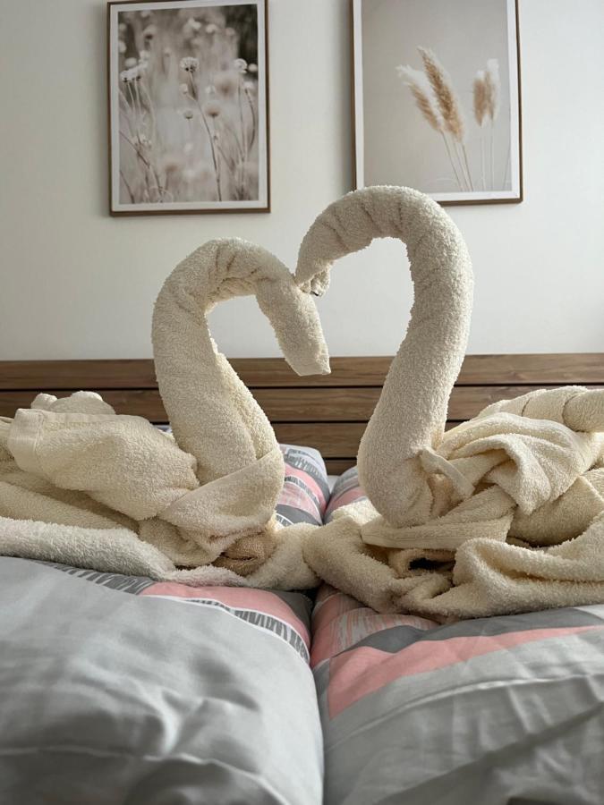Novy Apartman V Arealu Wellness Hotelu Frymburk Luaran gambar