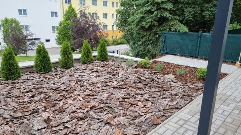 Novy Apartman V Arealu Wellness Hotelu Frymburk Luaran gambar